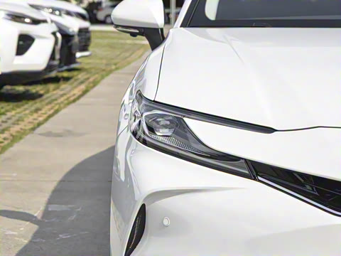 2026�� ˫�� 2.5HG ����