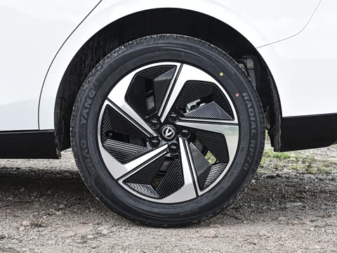 2026�� 1.5L �������� ������