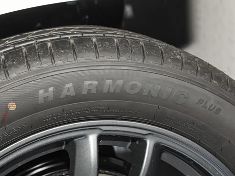 2026�� 565������