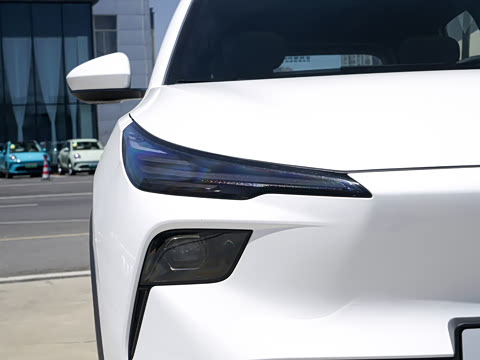 2026�� 565km ��ϲ��