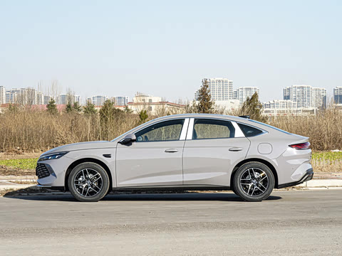 2026�� DM-i 210KM��Խ��