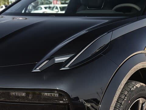 2026�� Max������