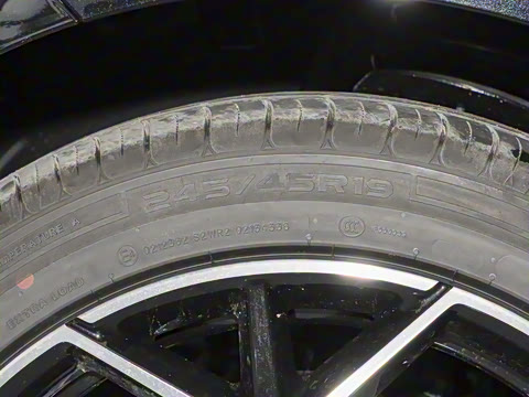 2026�� �����������̰� 310�콢��