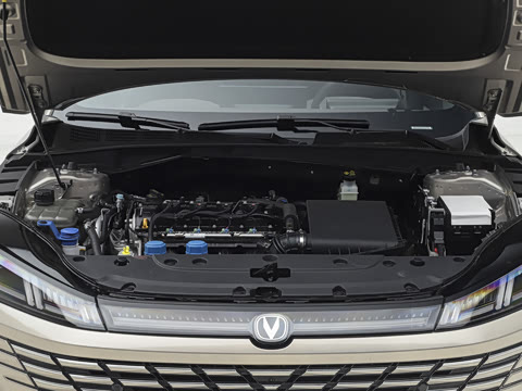 2026�� 1.5L ��϶���