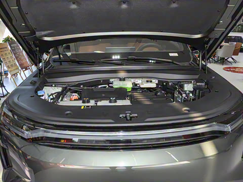 2025�� 205km Max��