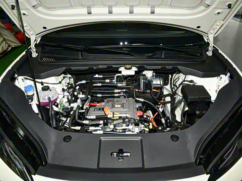 2025�� 520���г��а�