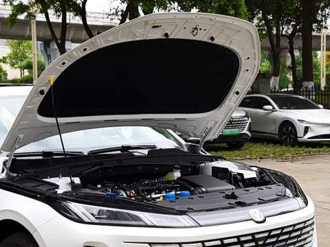 2026�� 1.5L �������� ������