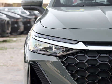 2026�� 1.6T ������