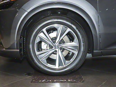 2025�� 300 ����������