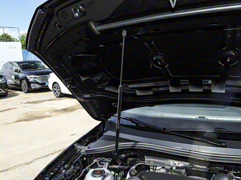 2025�� ���ڿ� 330TSI �Զ�����R-Line��ҫ��