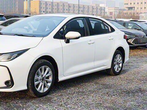 2025�� 1.2T ��Ӣ��