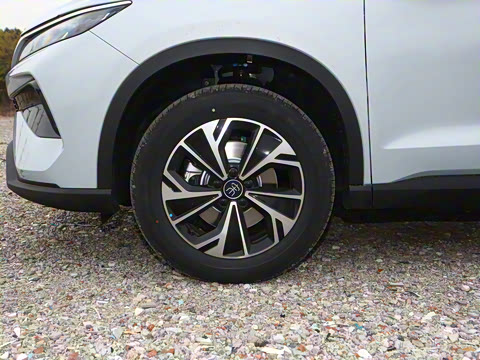 2026�� DM-i 133KM��ȡ��