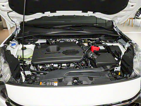 2024�� EcoBoost 245 ����ҫ����