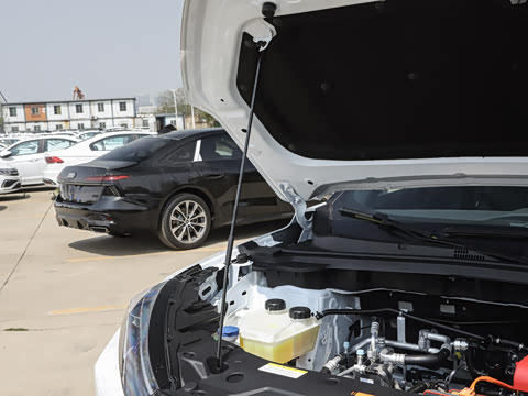 2026�� 530Խ����