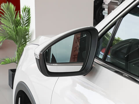 2026�� PRO 300TSI �������ð�