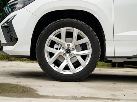 2026�� 280TSI �Զ�����Plus��