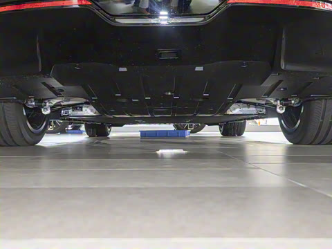 2026�� Max �����