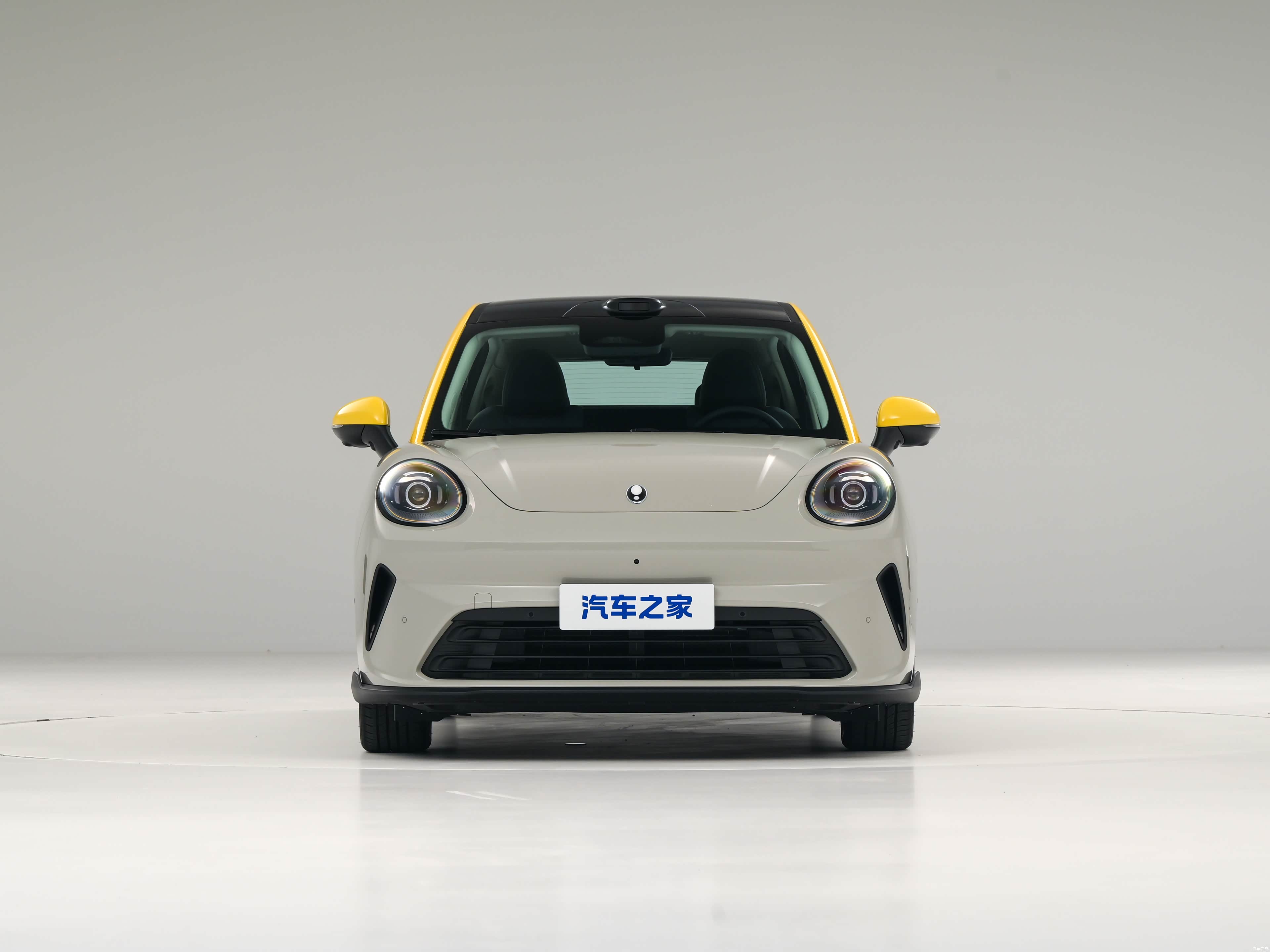 ORA 5 EV, миниатюра 10