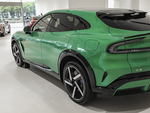 2025�� ������������Pro��