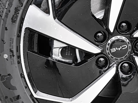 2025�� DM-i 205�캽Pro��