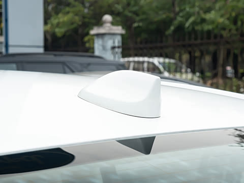 2026��  2.0T  EcoBoost  ������