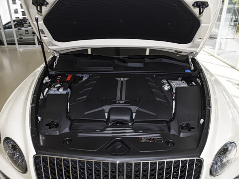 2026�� 4.0T V8 ������ŶȰ�