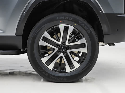 2026�� 255km ������