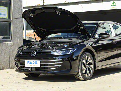 2026�� Pro 300TSI ��ҫ��