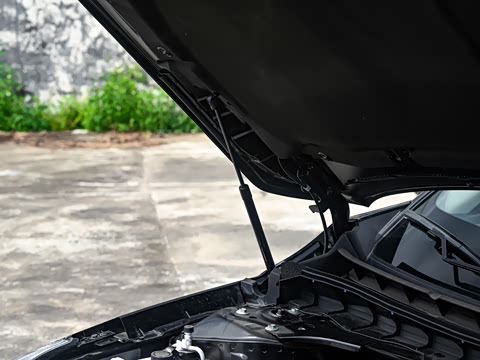 2025�� 2.0L SV �ڽ��