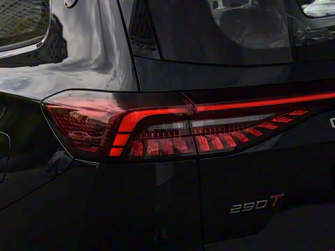 2025�� 290T ��������+