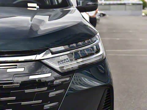 2025�� 290T ��������+