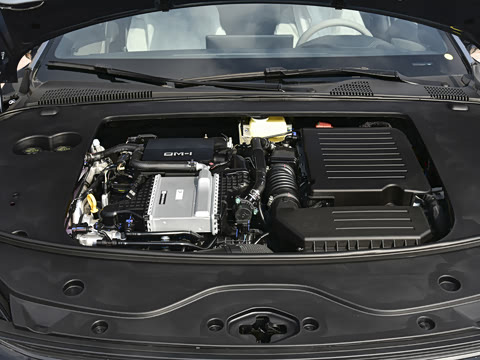 2025�� DM-i �Ǽݰ� 245KM������