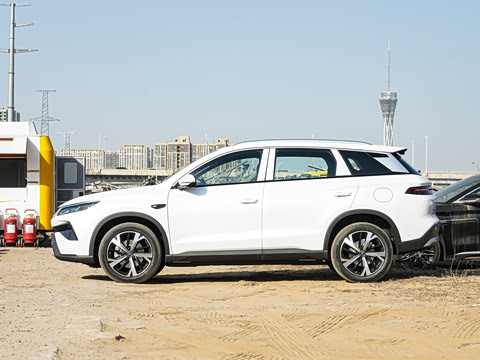 2026�� DM-i 220KM��Խ��