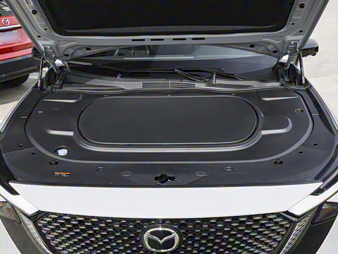 2026�� ����200 Pro�˶���