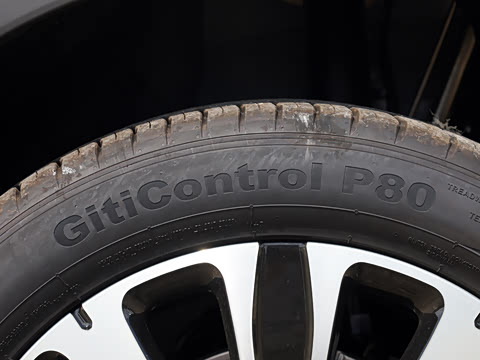 2025�� �Ǽݰ� DM-i 175KM �����