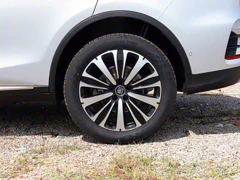 2025�� �Ǽݰ� DM-i 175KM �����