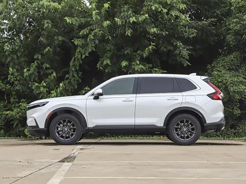 2026�� ȫ��30����ҫ�� 1.5T ��������5����