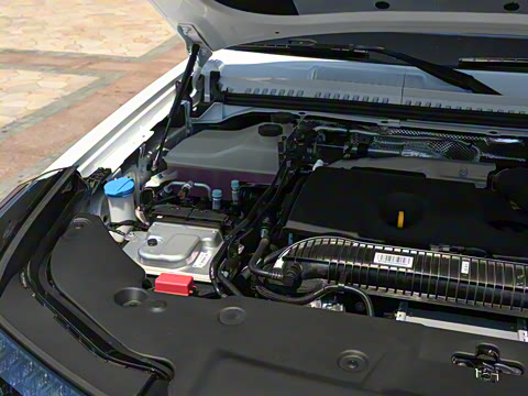 2025�� ������