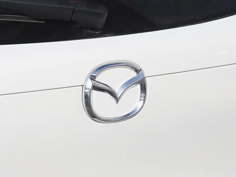 2025�� 2.0L �Զ�������