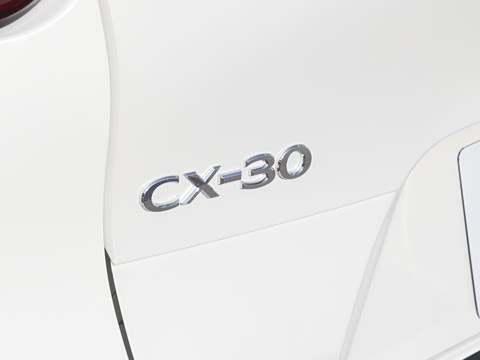 2025�� 2.0L �Զ�������