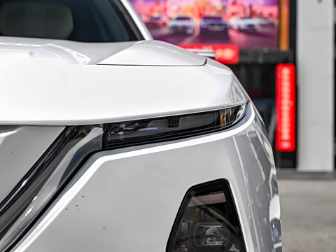 2026�� ����600 Max�˶���