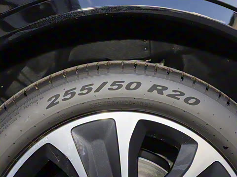 2026�� ���� Max+