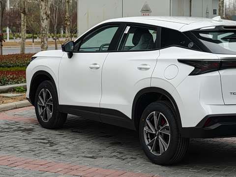 2026�� �˶������