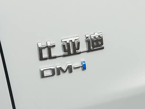 2026�� DM-i 205KM ��Խ��