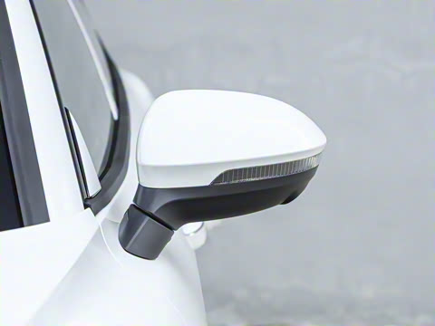 2026�� ���L 300TSI ����