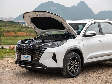 2026�� �ھ��� 290T ���������� 7��