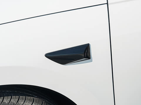 2025�� EV 545KM������