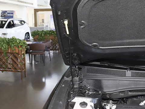 2026�� ��� 2.0L ������DLX