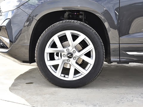 2026�� 280TSI �Զ��ȷ��