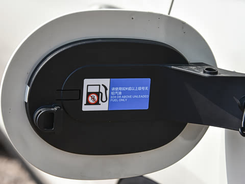 2026�� DM-i 220KM��Խ��